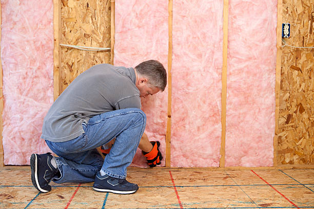 Best Insulation Installation Services in Sumiton, AL